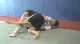 Brown - Askren Rolling
