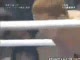 Flying Knee Ko