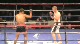Pure Knockout