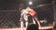Sean Salmon v Mitch Whitesel