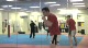 AZ Combat Light Sparring