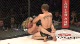 VFC 30 Highlights