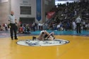 215-semi-Idelson (GV) vs. Basile (QT)