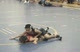 Adam v. Scottie