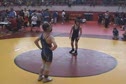 Crusader Tourney 