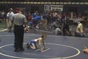 Sparten Inv. 2009