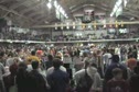 Parade of Champs II