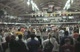 Parade of Champs II