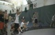 staub (ham w) v pizzo (colts neck)