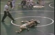 2007-2008 Longhorn Wrestling