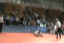 MOV019