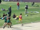 JV 1600 Jesuit-St Francis & Florin @ Monterey Trail