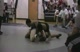 Felipe vs Old Bridge