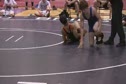 Martin vs Metuchen
