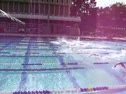 100 yd. Free @ UCI