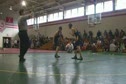 Tray @ Northern Vance