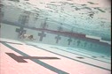 free_breaout_side_underwater