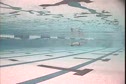 fly_turn