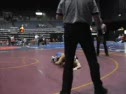 Fleck Vs Gross (NAP)