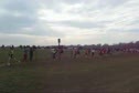 NCAA xc Men's Race at 2k, 2 miles, 7k and 9.5k