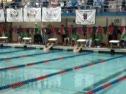 Adam Mania 50 backstroke