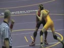 Animal GWOC finals