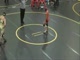 Animal Sectional Finals