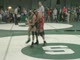 140 lbs Thomas Pompei - Una (Trine) vs Heath Allen (Ohio University)
