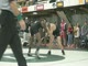 171 lbs FINAL - Austin Trotman Appalachian State Univers vs Justin Shannon Findlay