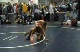 119lbs Alan Waters (Park Hill -MO) v. James Golden (Grassfield -VA)
