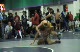 130lbs Joey Lazor (Union Grove) v. Kenny Knapp (Brearley -NJ)