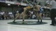 184lbs Kelby Smith (Citadel) vs Craig Kelliher (Central Michiga)