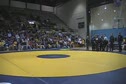 Official Introductions
