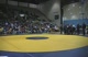 Official Introductions