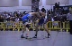 JR 125lbs - Zach Zehner Wi vs. Shane Mcgough Az