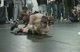 Semifinal - Ian Fisher (Perry, OK) 13-0 won by decision over Alex Johnson (Christian Brothers) 17-1 (Dec 5-2)