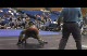 Ethan Blackstock GA vs Edwin Bang 170.5 CA