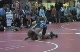 Samuel Spradlin GA vs Nathan Larson CA