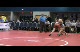 Daniel Domanico GA vs Corey Duncan OK