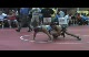 Mike Lunsford OK vs William Bell GA