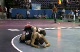 Brandon Westerman (Georgia) over Tyler Alsip (Ohio) 