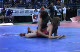 T. J. Mitchell (Georgia) over Dan O`Malley (New York)