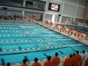 1000 Free