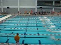 100 Free