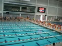 50 Free
