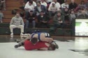 130 - OR Eldred vs CA Diamond