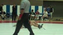 streng vs collins