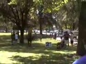 2008 Mustang Gallop Men's