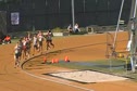Brutus Hamilton 2008 Men's Mile