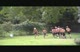 Workout 10-20-09